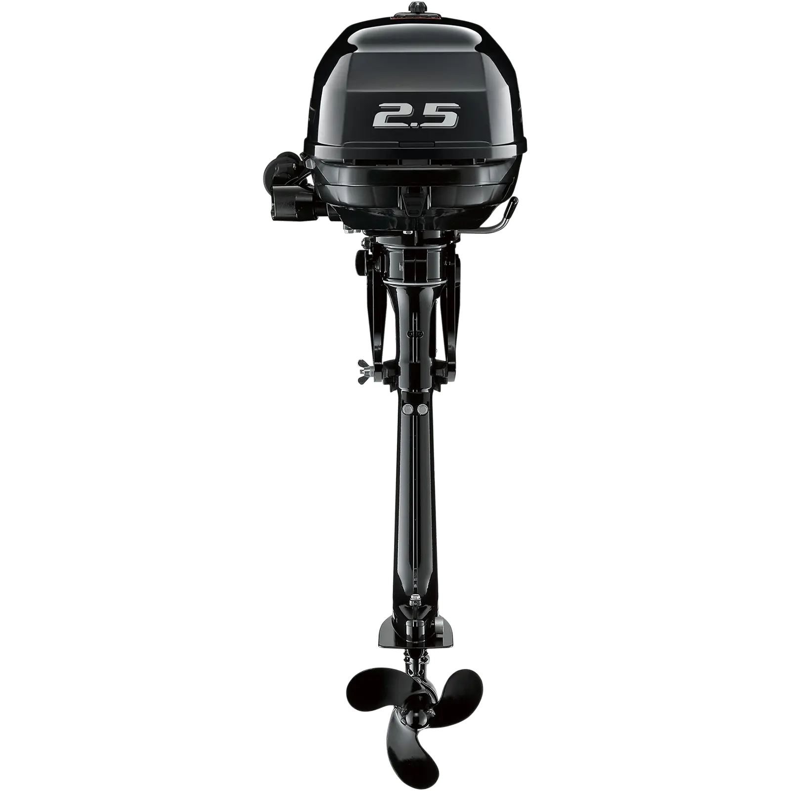 DF2.5L5_a A black outboard motor with 2.5 horsepower rating and three-blade propeller.